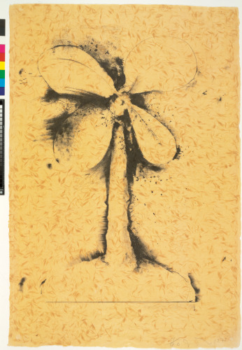 THE PLANT BECOMES A FAN #3