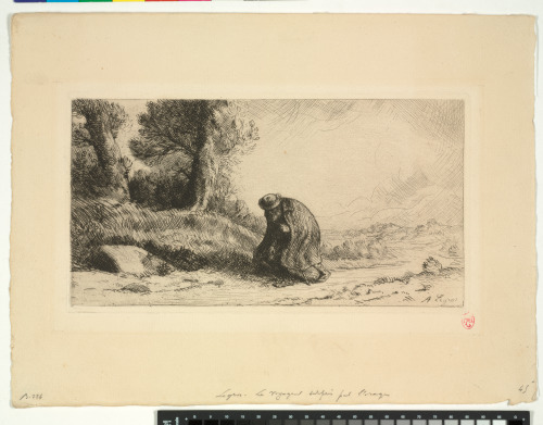 TRAVELER SURPRISED BY STORM