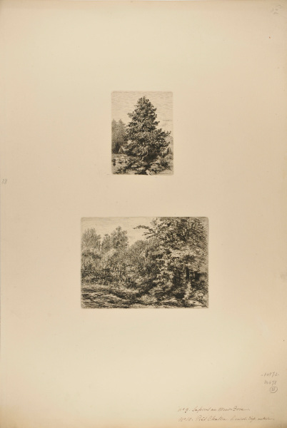 STUDY OF A FIR TREE, MONT-DORE; A HEDGEROW IN CHATOU