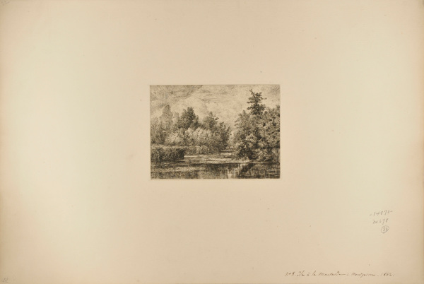 ÎLE AMÈRE IN MONTGERON