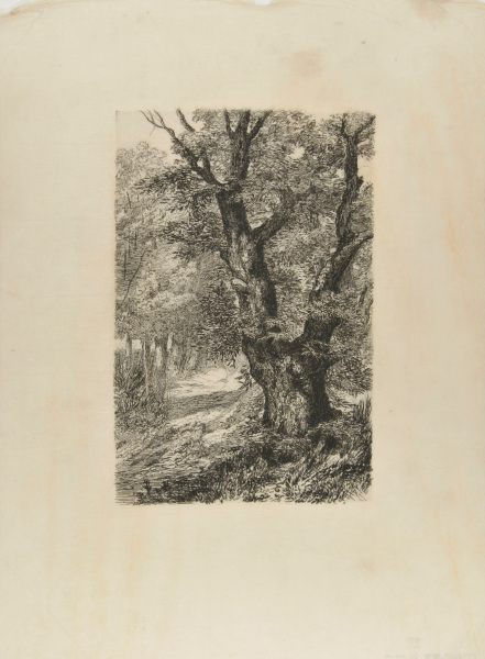 CHESTNUT TREES IN ROYAT (SECOND PLATE)