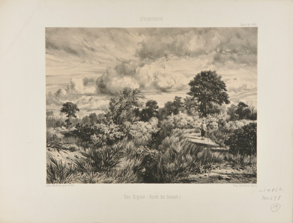 A GULLY (FORÊT DE SÉNART)