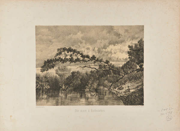 A POND IN ROCHECORBOU