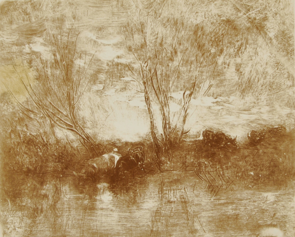 COWS AT THE WATERING PLACE