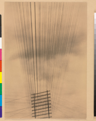 TELEPHONE WIRES, MEXICO