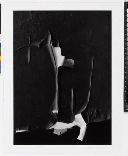 Peeled Paint, Rochester, New York