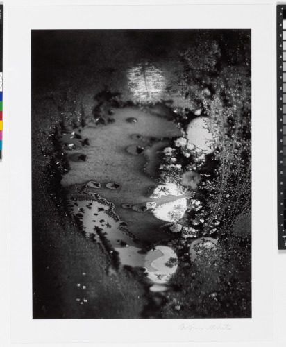 Beginnings, Rochester, New York