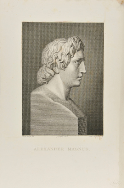 BUST OF ALEXANDER THE GREAT