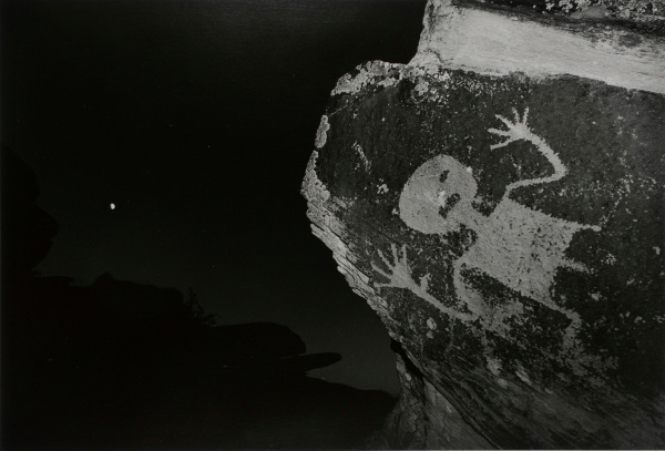 PETRIFIED FOREST, ARIZONA