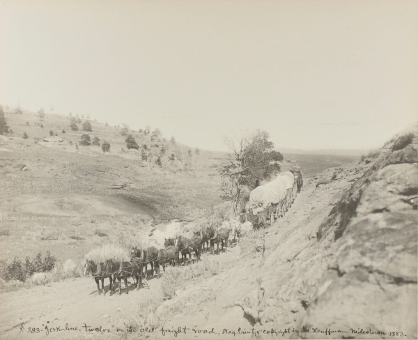 ‘#383 Jerkline Twelve’ on the Old Freight Road