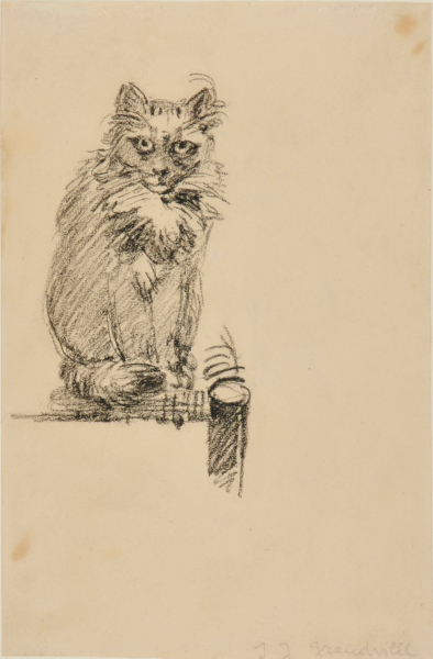 STUDY OF A CAT; PAGE FROM A SKETCHBOOK