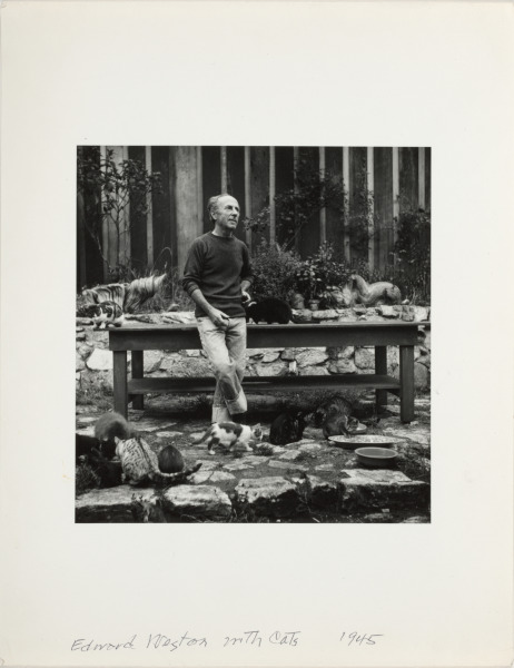 EDWARD WESTON WITH CATS