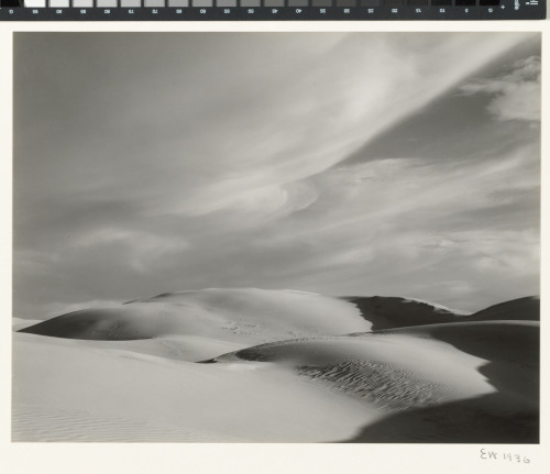 DUNES, OCEANO