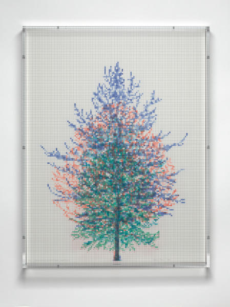 NUMBERS AND TREES, TIERGARTEN SERIES 3: TREE #4, JULY