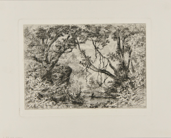 Landscape with pool in a forest