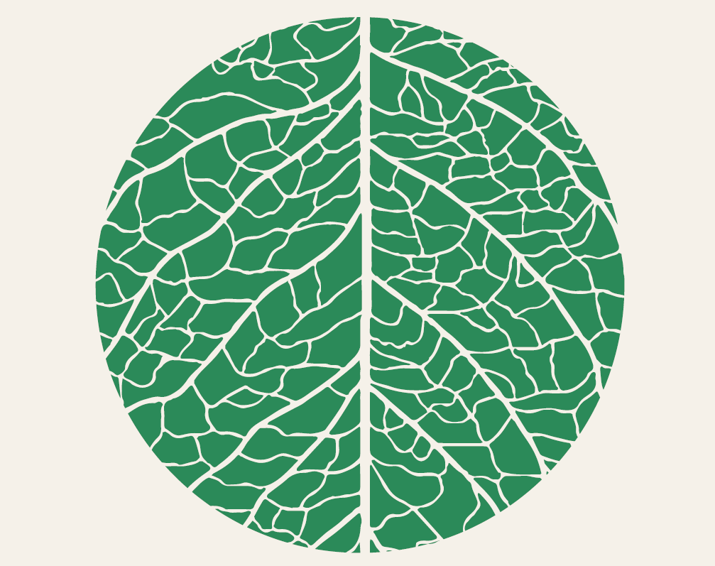 The Grassroots Initiatives Revitalizing Baltimore’s Ecosystems and Tackling Climate Change