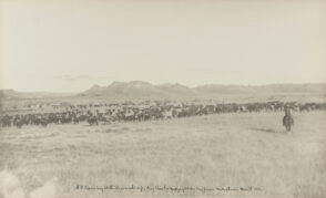 #13 Evening at the Round-Up