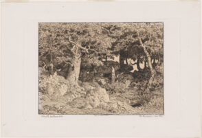 The Oak Forest of the Rock (Chênes de Roche)