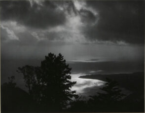 Mount Tamalpais State Park