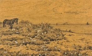 Fleurs Solitaires (Villerville)