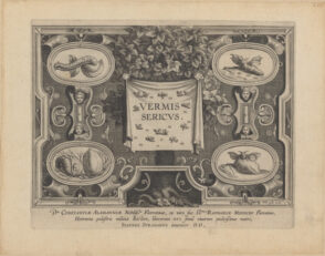 Vermis Sericus (The Introduction of the Silkworm and the Production of Silk in Europe)