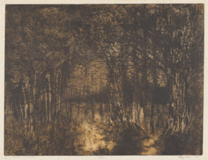 Lo, the Pensive Peninsula