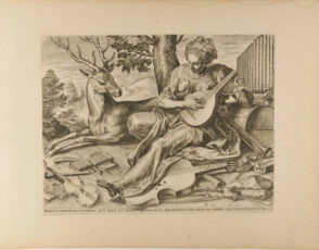 Auditus Sensorium Exertius est Auris et Crassus Quidam in ea aer Interius Vero Nervi ab Auribus ad Cerebrum Pertinente