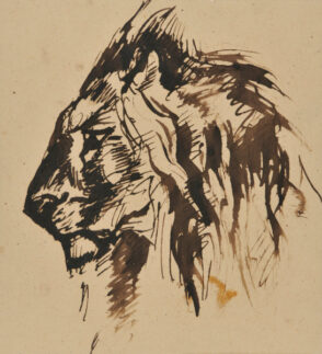 Lion’s Head, in Profile