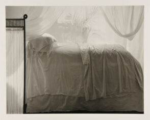 Bed with Palm Shadows