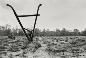 Horse-drawn Cultivator, Mississippi