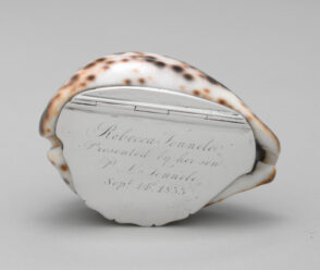 Tiger Cowrie Shell Snuffbox
