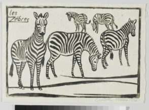 Zebras