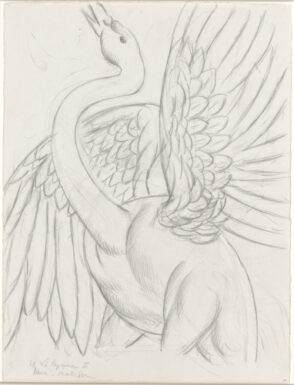 Study for “The Swan”