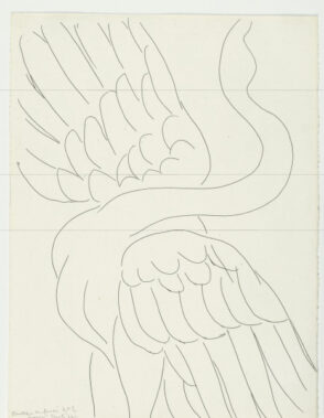 Study for “The Swan” (refused etching)