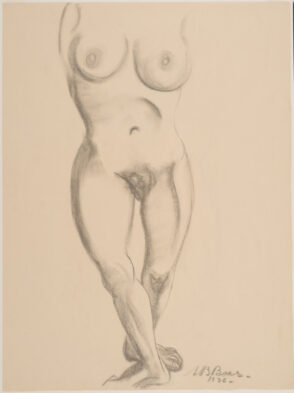 Nude Female – Torso and Legs