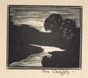 Untitled (Moonlight on Stream)