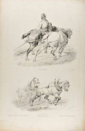 Chevaux de trait and Chevaux de Halage