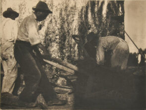 Workers in the South, Labor