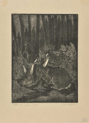 Edge of a Wood – Night