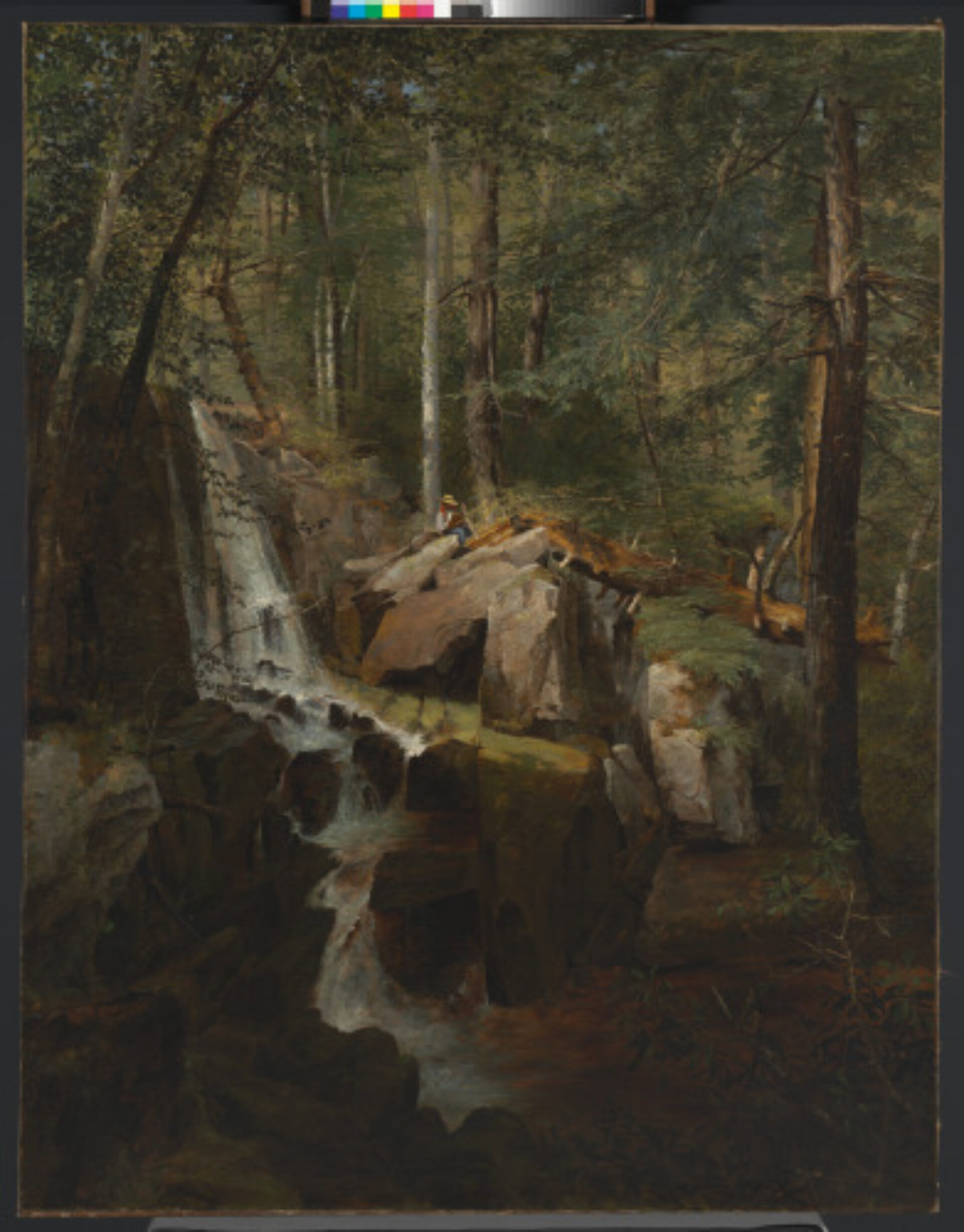 JANETTA FALLS, NEW JERSEY