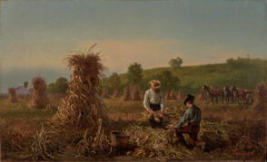 Harvest Scene