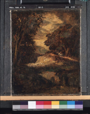 At the Edge of the Forest