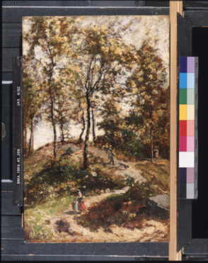 Road through the Wood