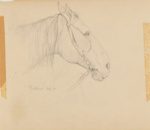Sketch from a Camping Trip on the Lower Susquehanna in 1887 (study of a horse’s head with halter & blinders, facing right). Inscribed: ‘Dublin’ Sep. 6′