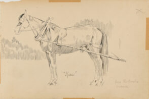 Sketch from a Camping Trip on the Lower Susquehanna in 1887 (sketch of a horse in harness, side view). Inscribed: ‘Katie/Mr. Roberts mare’