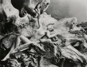 Female Nude, Driftwood (horizontal), Vancouver Island, B.C.