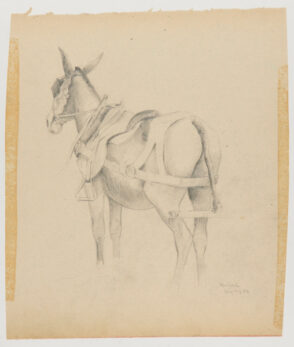 Sketch from a Camping Trip on the Lower Susquehanna in 1887? (study of a mule, in harness and saddle). Inscribed: ‘Hailord/July 10 88.’