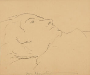 Jeune femme en buste, couchee au sol, tournee a droite