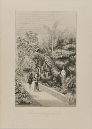 Intérieur de la grande serre du Jardin des Plantes