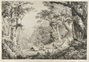 Valley of San Juan del Oro (Gathering Cinchona Bark)